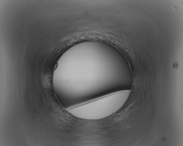 X0000093731490200710160801