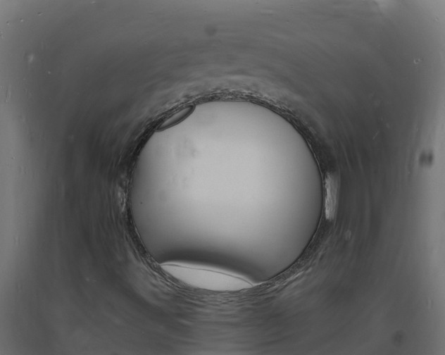 X0000093731491200710160801