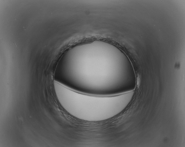 X0000093731492200710160801