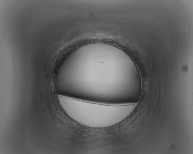 X0000093731493200710160801