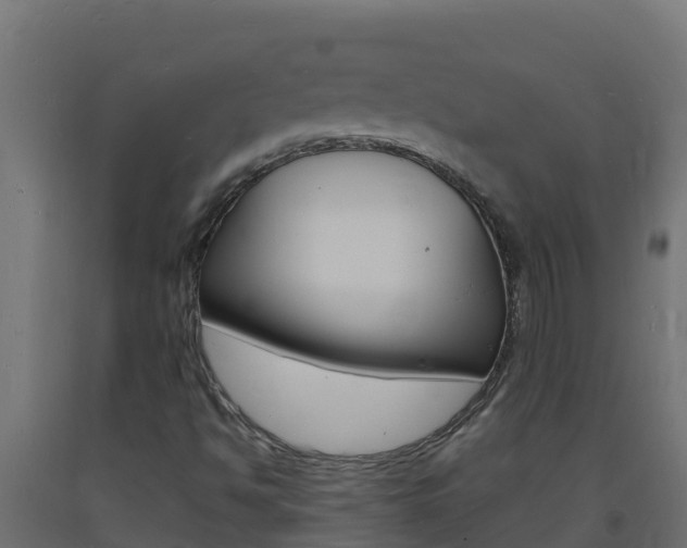 X0000093731494200710160801