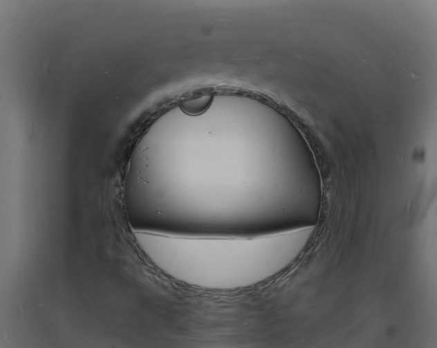 X0000093731495200710160801