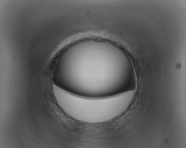X0000093731496200710160801