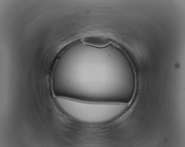 X0000093731497200710160801