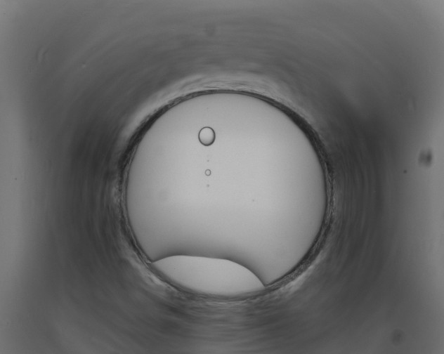 X0000093731498200710160801