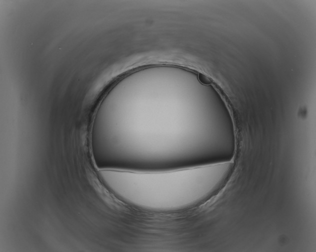 X0000093731499200710160801