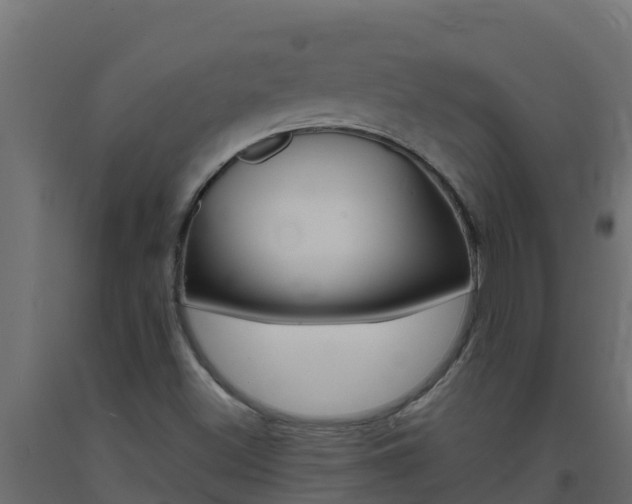 X0000093731500200710160801