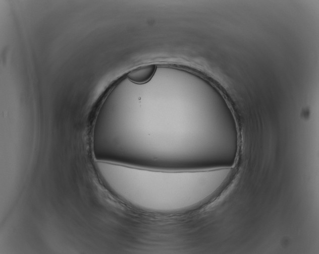 X0000093731501200710160801