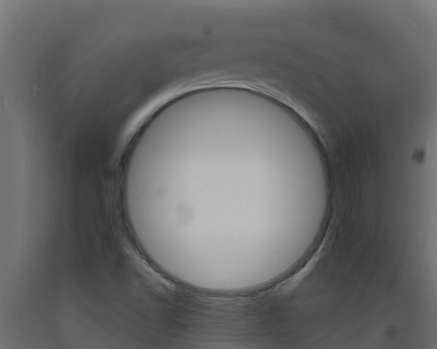 X0000093731502200710160801