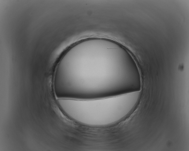 X0000093731503200710160801