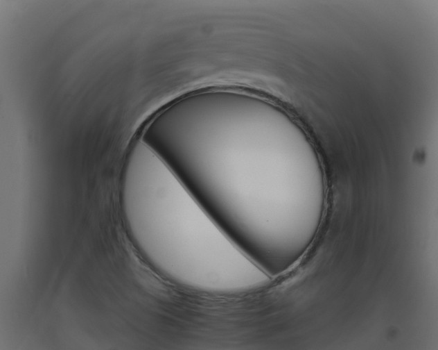 X0000093731505200710160801
