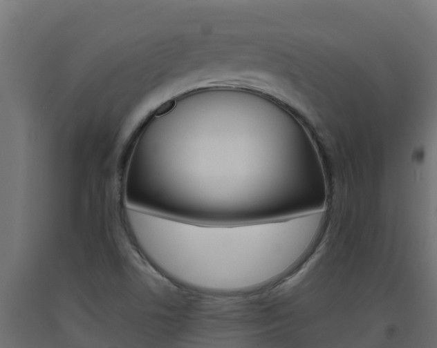 X0000093731506200710160801