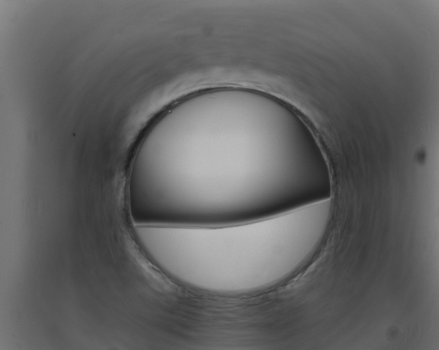 X0000093731507200710160802