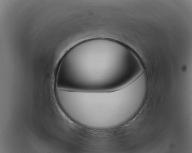 X0000093731508200710160802