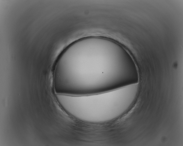 X0000093731509200710160802