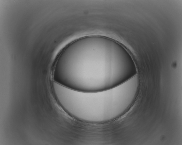 X0000093731510200710160802