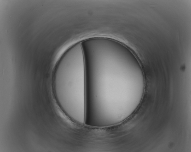 X0000093731511200710160802