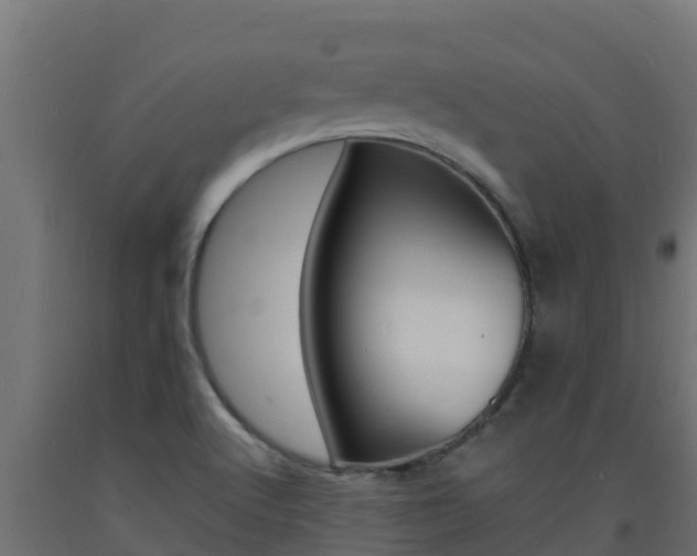 X0000093731512200710160802