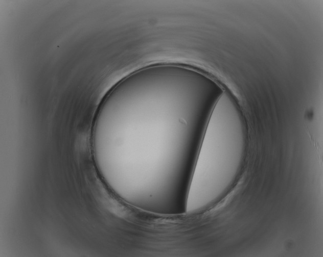X0000093731513200710160802