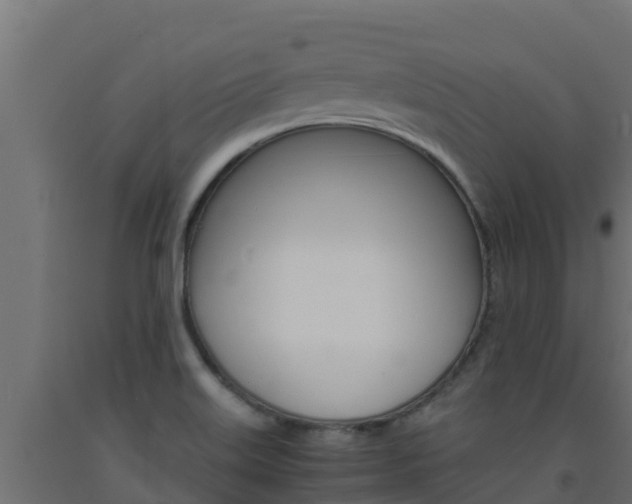 X0000093731515200710160802