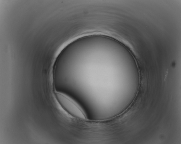 X0000093731516200710160802