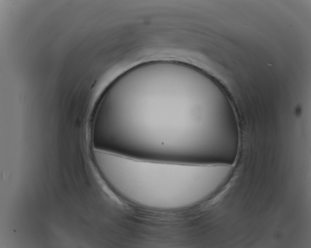 X0000093731517200710160802