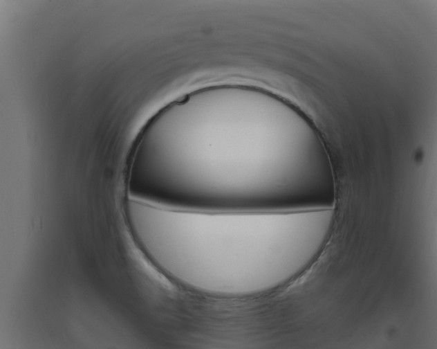 X0000093731518200710160802