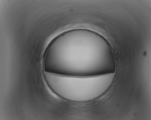 X0000093731519200710160802