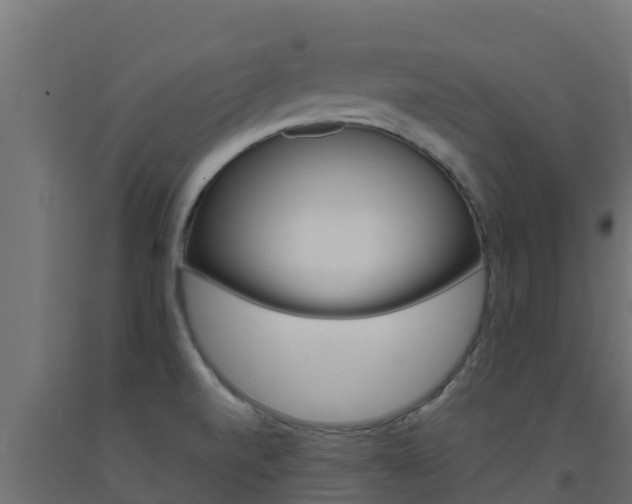 X0000093731520200710160802