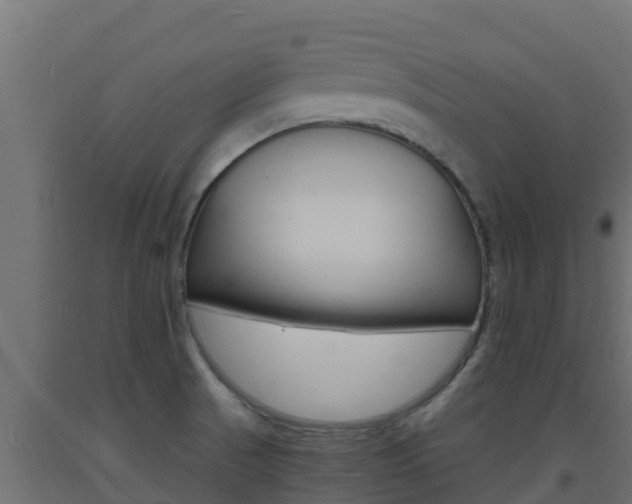 X0000093731521200710160802