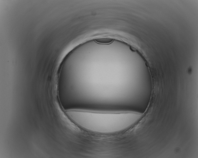 X0000093731522200710160802