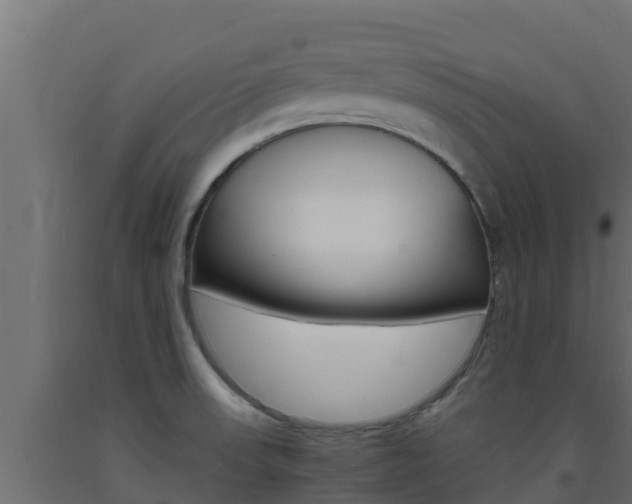 X0000093731523200710160802