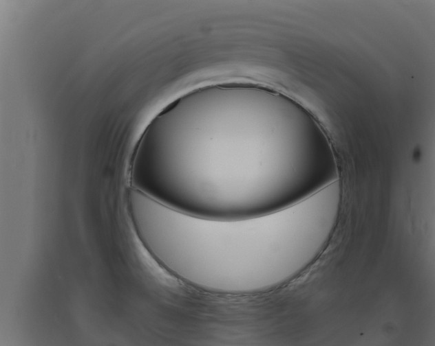 X0000093731524200710160802