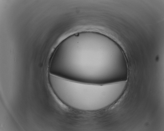 X0000093731525200710160802