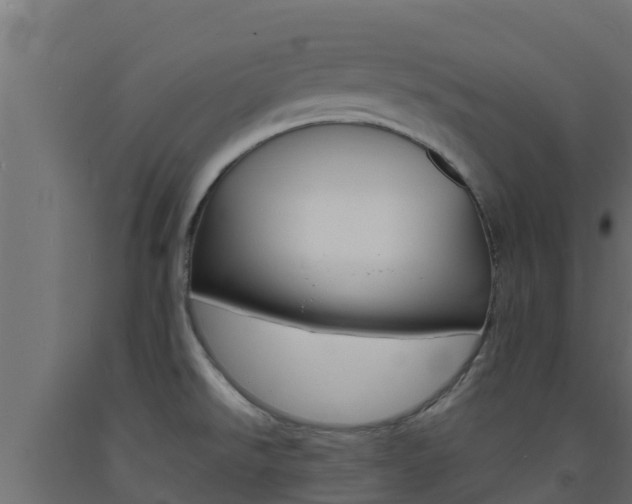 X0000093731526200710160802