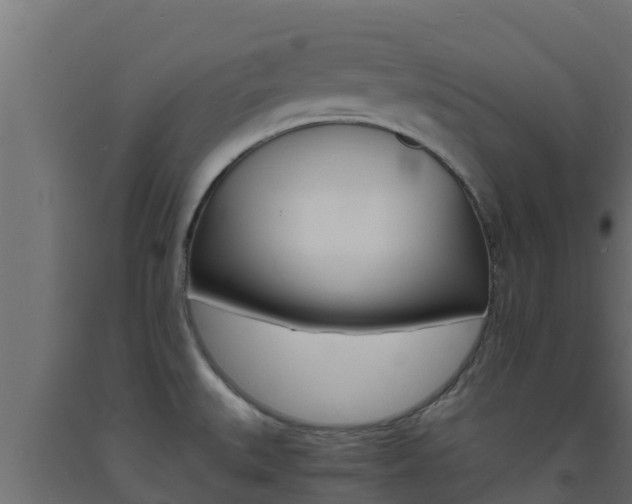 X0000093731527200710160802