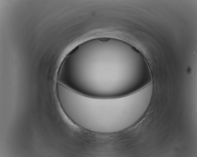 X0000093731528200710160802