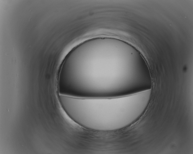 X0000093731531200710160802