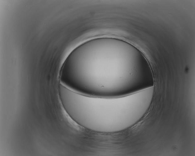 X0000093731532200710160802