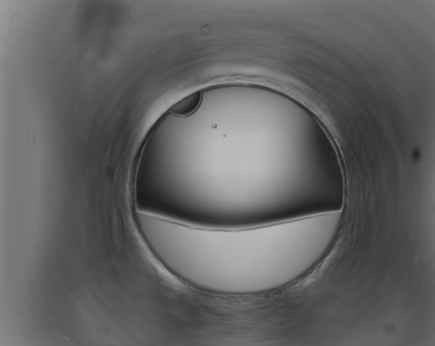 X0000093731533200710160802