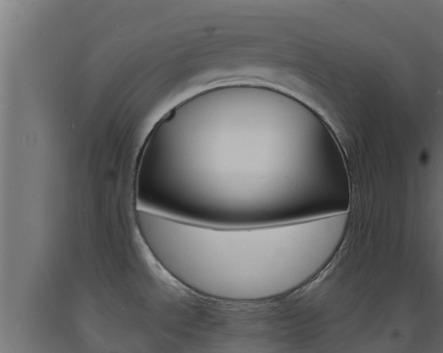 X0000093731534200710160802