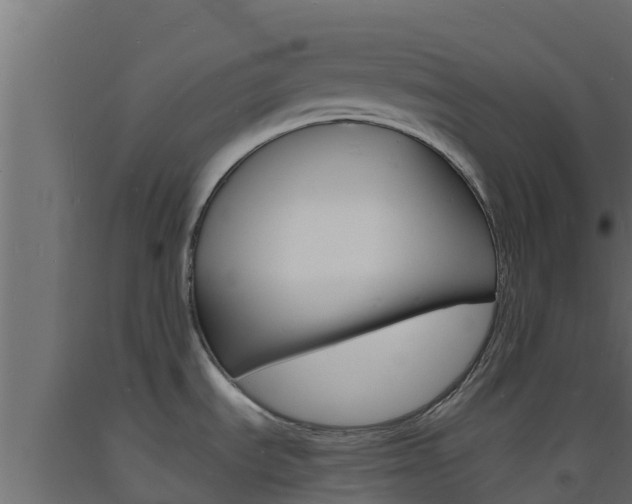 X0000093731535200710160802