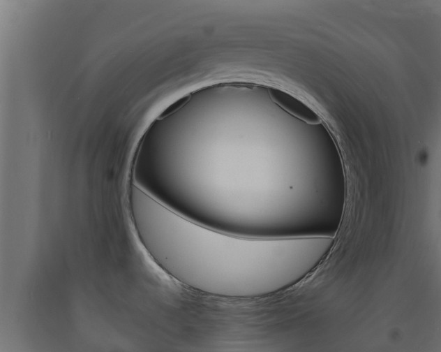 X0000093731536200710160802