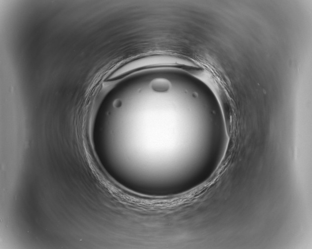 X0000093730001200710161125