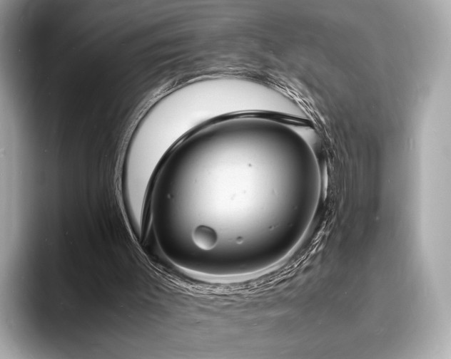 X0000093730003200710161125