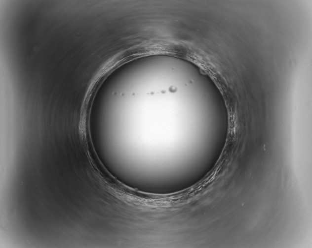 X0000093730004200710161125