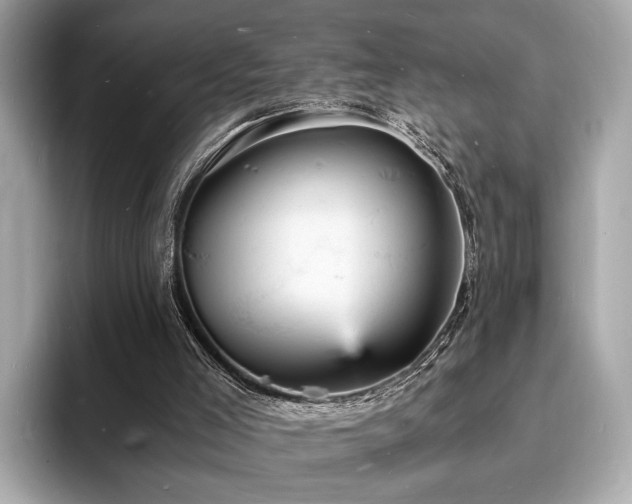 X0000093730005200710161125