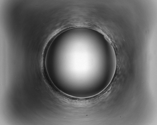 X0000093730008200710161125
