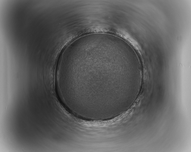 X0000093730009200710161125