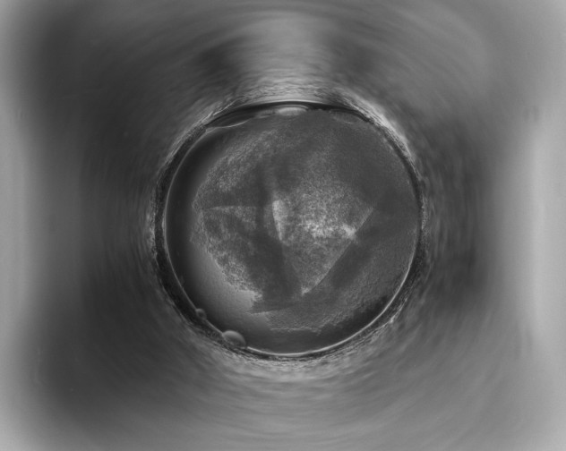 X0000093730010200710161125
